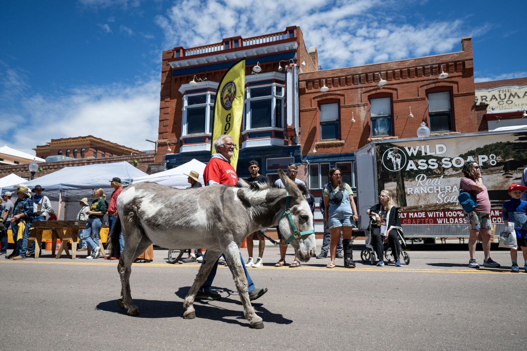 Donkey Derby Days